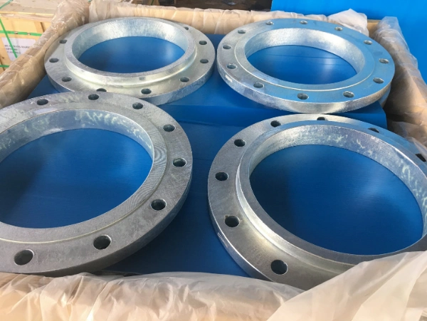 Hot DIP Galvanized ANSI DIN BS Flange Forged Steel Flange